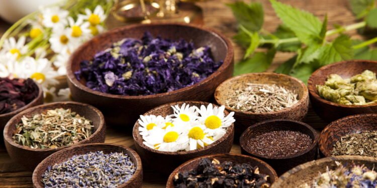 Plantas poderosas que melhoram a circulação e previnem a trombose