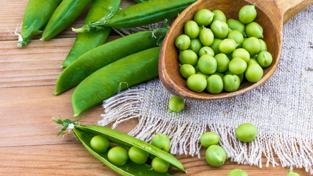 Guia definitivo de como plantar ervilha em qualquer espaço