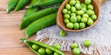 Guia definitivo de como plantar ervilha em qualquer espaço