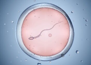 Mulher engravida de desconhecido após troca de embriões em clínica de fertilização