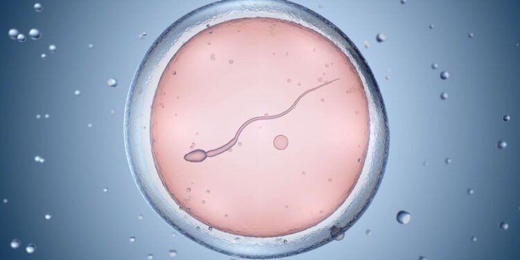 Fertilização in vitro - Créditos: depositphotos.com / iLexx