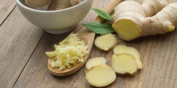 A raiz natural que alivia dores e melhora a digestão de forma eficaz