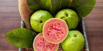 Goiaba, como essa fruta pode melhorar o descanso e a saúde