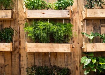 Veja ideias criativas para fazer uma horta vertical em casa gastando pouco