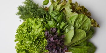 Adicione alface na sua dieta diária e veja seu corpo se transformar