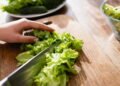 Adicione alface na sua dieta diária e veja seu corpo se transformar