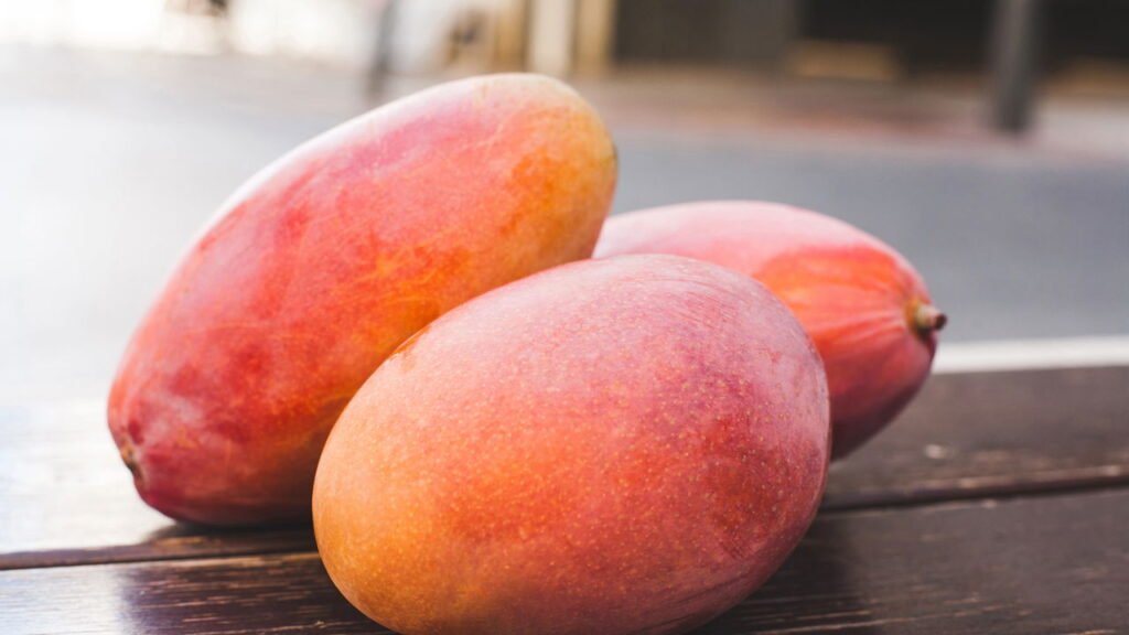 Aprenda a plantar manga a partir do caroço e colher frutos deliciosos