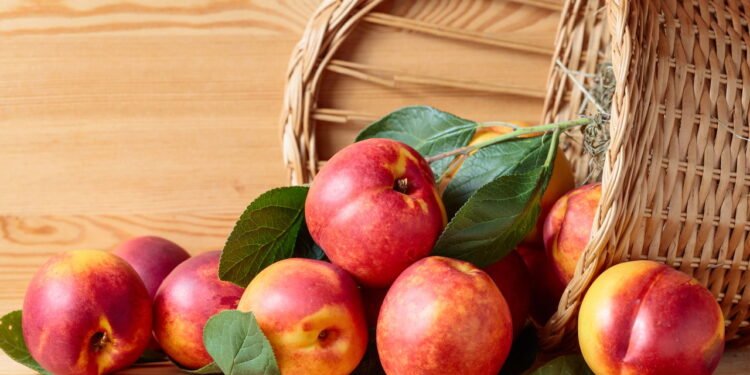 Nectarina - Créditos: depositphotos.com / igorr1