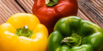 Aprenda como plantar pimentão no vaso passo a passo