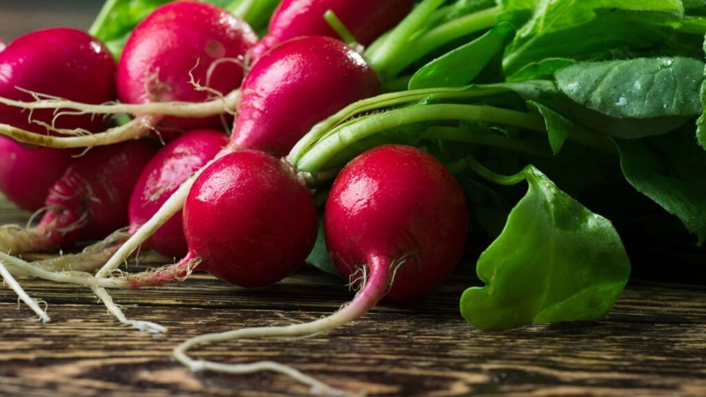 Dicas para cultivar rabanetes de forma simples e sem complicação