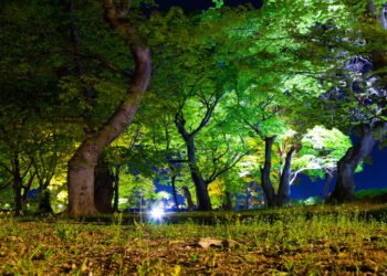 Quer descansar e conhecer a cultura de Minas? O turismo rural é a escolha ideal