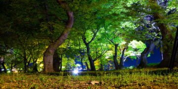 Quer descansar e conhecer a cultura de Minas? O turismo rural é a escolha ideal