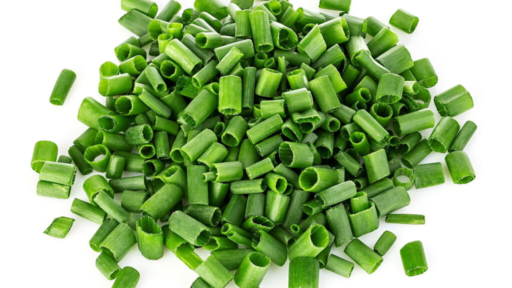 Como plantar e ter uma colheita saudável de cebolinha o ano inteiro!
