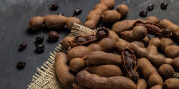 Aprenda o segredo para colher tamarindo por muitos anos