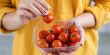 5 segredos para ter uma colheita abundante de tomate cereja em sua casa
