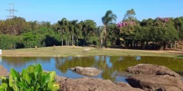 Cidade paulista em crescimento se torna referência em qualidade de vida