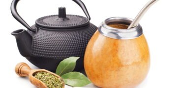 Erva-mate cultivada de forma regenerativa aumenta a renda de produtores