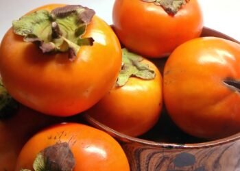 Pequena cidade de Minas Gerais vem ganhando destaque na produção de caqui