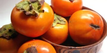 Pequena cidade de Minas Gerais vem ganhando destaque na produção de caqui