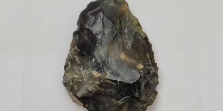 Machado neandertal de 50 mil anos atrás é encontrado por criança na Inglaterra