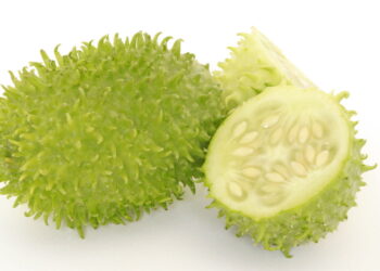 Você sabe o que é maxixe? Conheça todos os benefícios desse vegetal esquecido