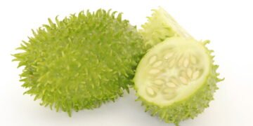 Você sabe o que é maxixe? Conheça todos os benefícios desse vegetal esquecido