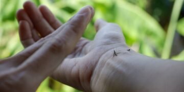 Pessoa abatendo mosquito da dengue que se alimentava em seu braço