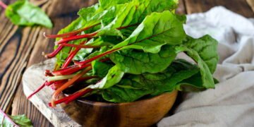 Segredos simples para cultivar acelga saudável no seu jardim