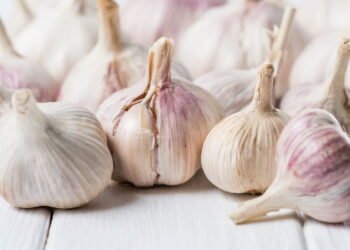 Veja como cultivar alho em casa e economizar na feira