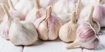 Veja como cultivar alho em casa e economizar na feira