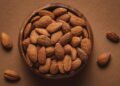 Por que incluir amêndoas na dieta pode transformar sua saúde e bem-estar?
