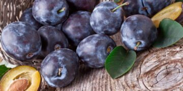 Aprenda a plantar ameixa no quintal e tenha frutas durante o verão