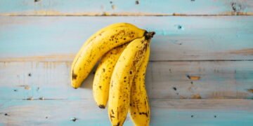 Banana da terra no quintal veja como plantar e colher