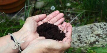 Nova tendência usa borra de café e promete revolucionar o futuro