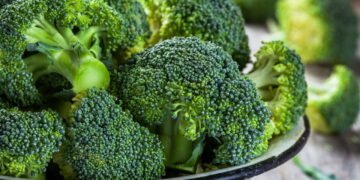 Conheça o tipo ideal de brócolis para plantar no quintal de casa