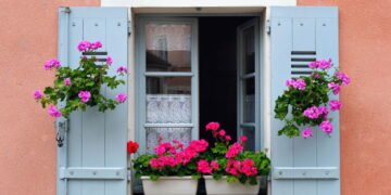 Quais plantas colocar na entrada da casa? Veja as mais indicadas