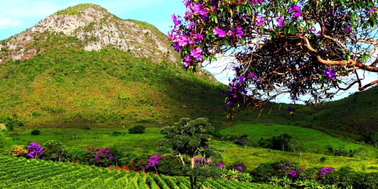 O lugar no Brasil que une paz, natureza e cultura em uma só região