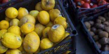 INSS libera calendário do BPC; veja se você recebe em maio