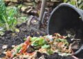 Aprenda como transformar restos de comida em adubo rico e natural
