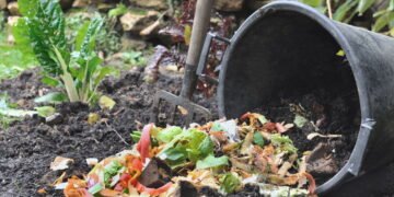 Aprenda como transformar restos de comida em adubo rico e natural