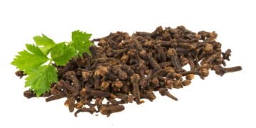 Aprenda como plantar o cravo-da-índia e colha lindas flores aromáticas em casa