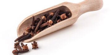 Aprenda cultivar cravo-da-índia na primavera e tenha flores mais aromáticas