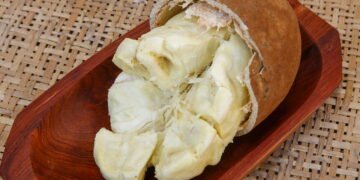 Aprenda a plantar cupuaçu e lucre com esta fruta brasileira