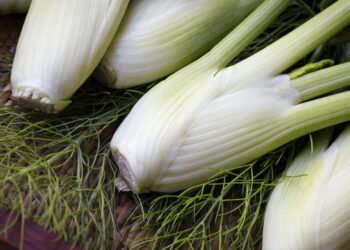 Aprenda a cultivar em casa a erva natural que alivia cólica dos bebês