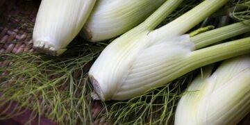 Aprenda a cultivar em casa a erva natural que alivia cólica dos bebês