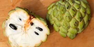 Cultive fruta-do-conde e aproveite frutos fresquinhos e nutritivos