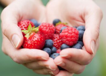 Passo a passo para plantar frutas vermelhas e colher em casa