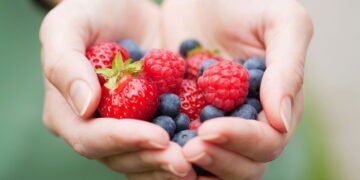 Passo a passo para plantar frutas vermelhas e colher em casa