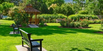 O segredo barato para um gramado verde e livre de ervas daninhas