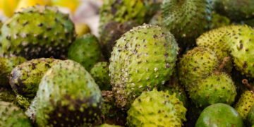 A fruta exótica que pode ajudar no combate a doenças